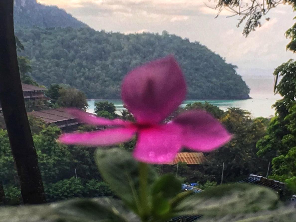 Phi Phi Sea And Hill Resort Exterior foto